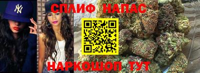 гашик Краснознаменск