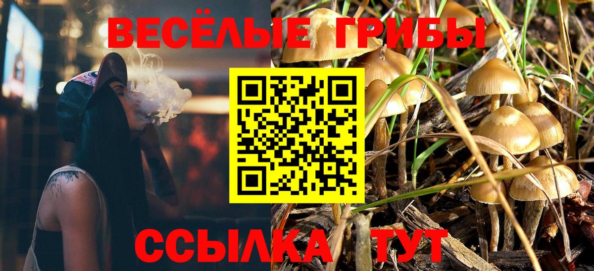 Галлюциногенные грибы мицелий Гатчина
